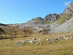 Sullo sfondo la Scatta d'Orogna